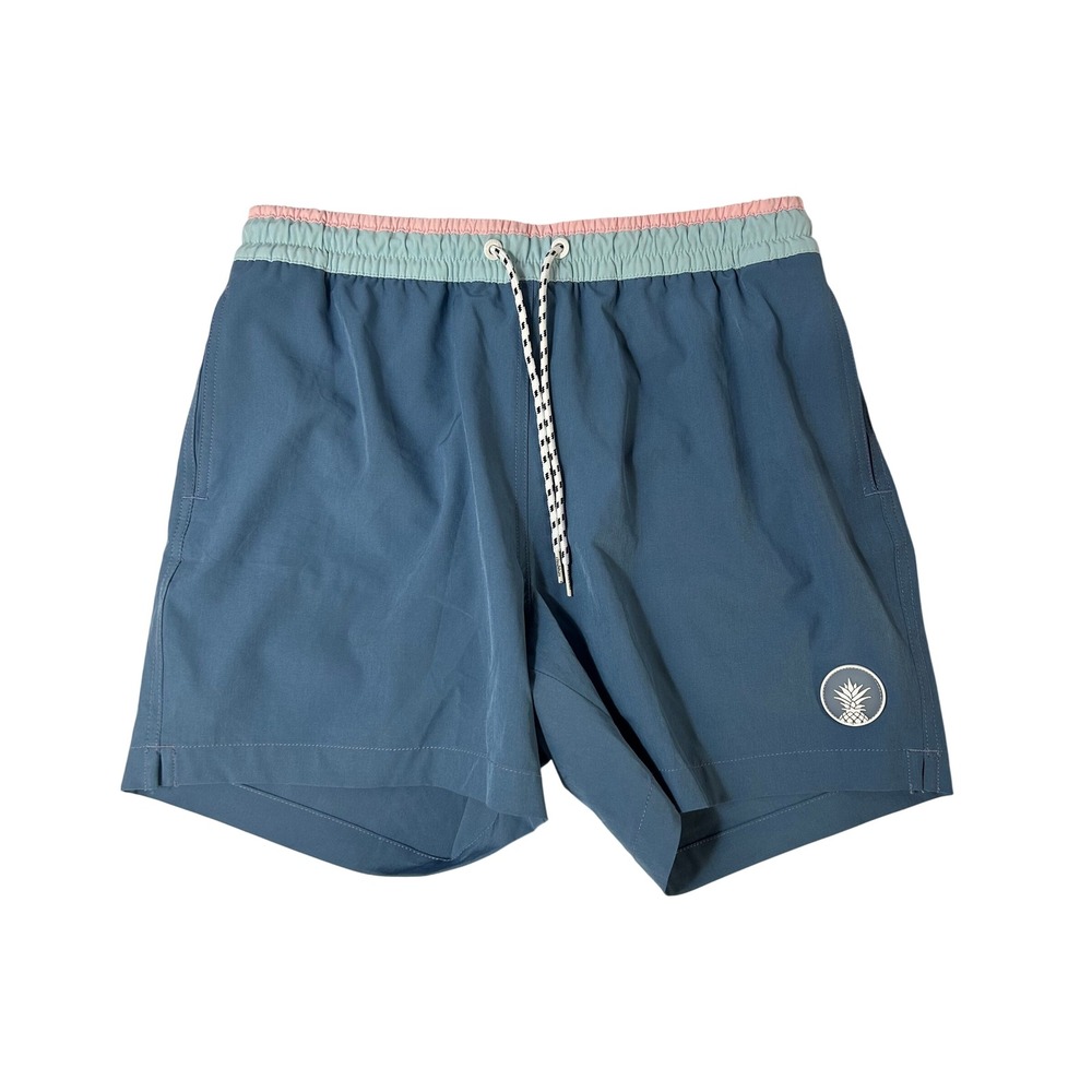 Chubbies Blue Pink Everywear Shorts Men's Medium 5.5" Inseam Lined Stretch